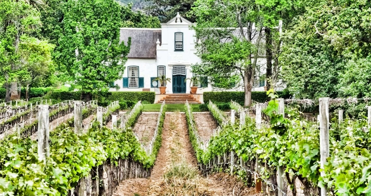 Beautiful vineyard tour in Sonoma with Napa Sac Wine Tours