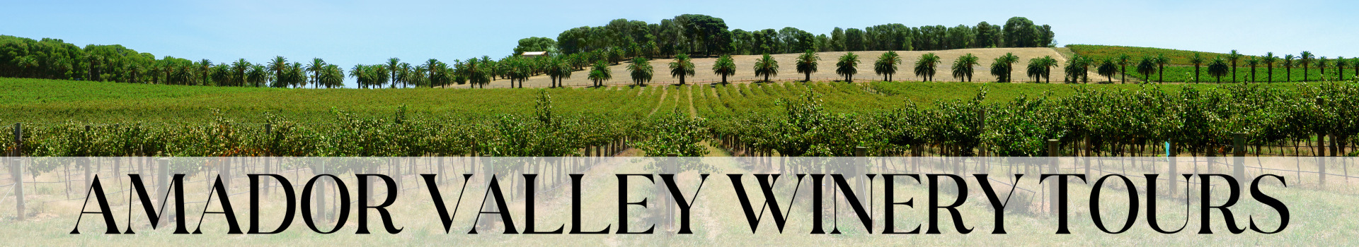 AMADOR VALLEY WINERY TOURS