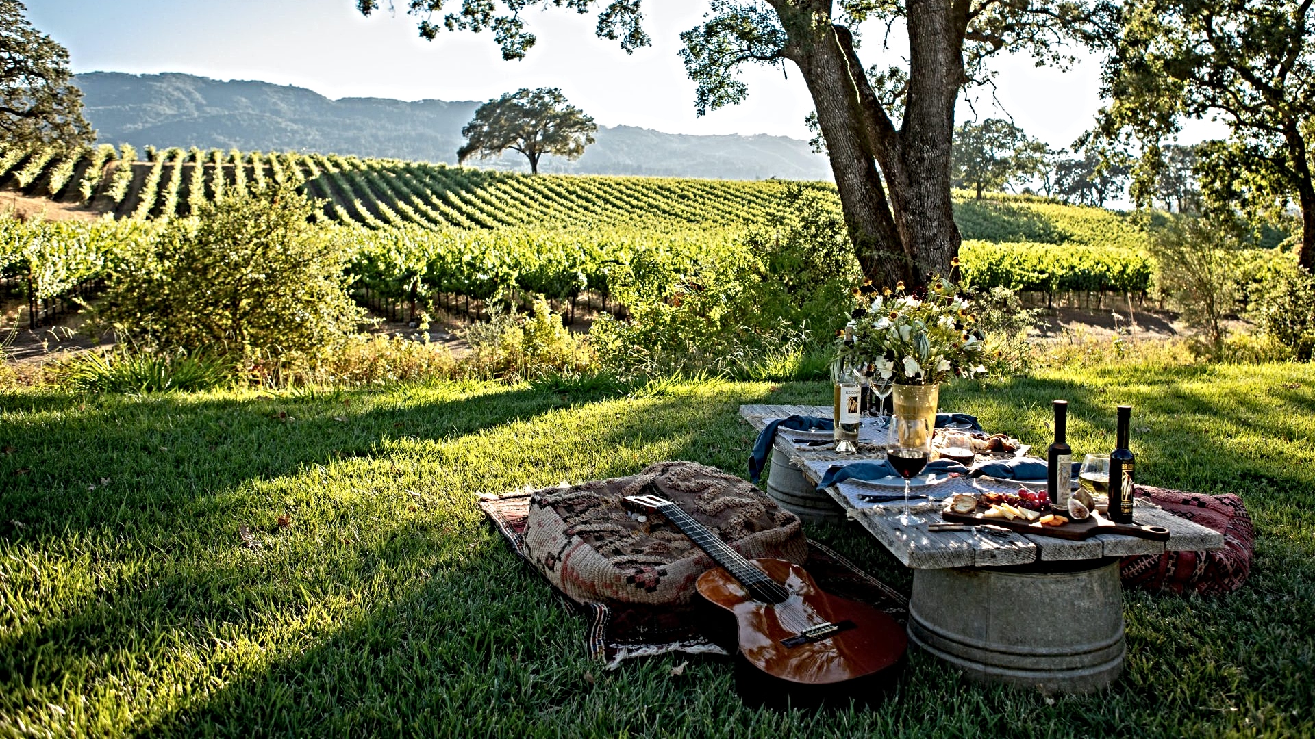 Napa Sac Wine Tours in scenic vineyard landscape